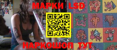 гидропоника Краснознаменск
