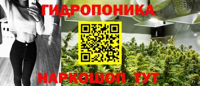 гидропоника Краснознаменск